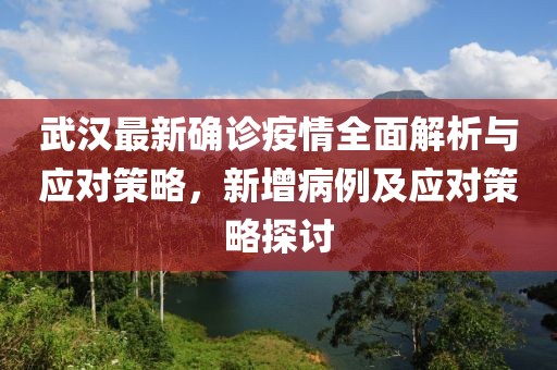 武汉最新确诊疫情全面解析与应对策略，新增病例及应对策略探讨