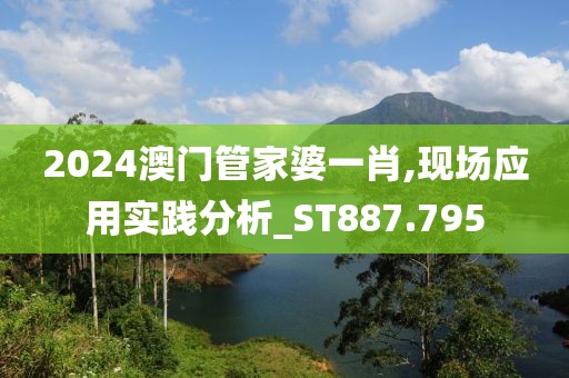 2024澳门管家婆一肖,现场应用实践分析_ST887.795