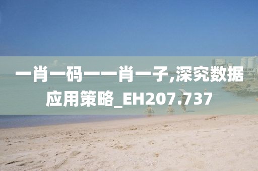 一肖一码一一肖一子,深究数据应用策略_EH207.737