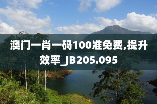澳门一肖一码100准免费,提升效率_JB205.095