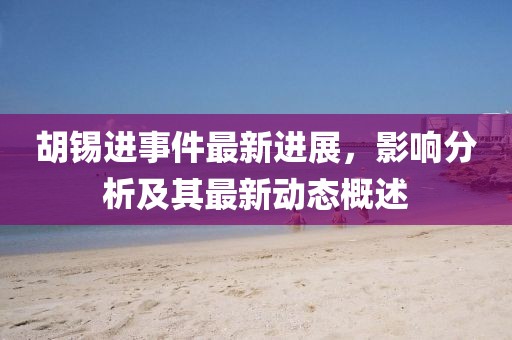 胡锡进事件最新进展，影响分析及其最新动态概述