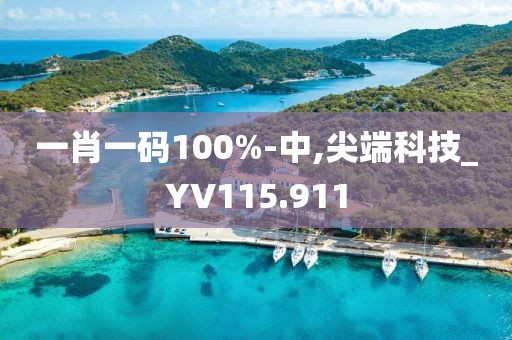 一肖一码100%-中,尖端科技_YV115.911