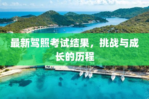 最新驾照考试结果，挑战与成长的历程