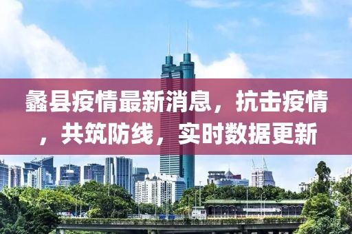 蠡县疫情最新消息，抗击疫情，共筑防线，实时数据更新