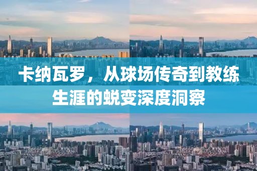 卡纳瓦罗，从球场传奇到教练生涯的蜕变深度洞察