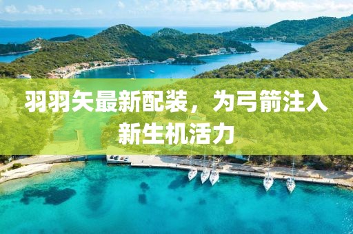 羽羽矢最新配装，为弓箭注入新生机活力