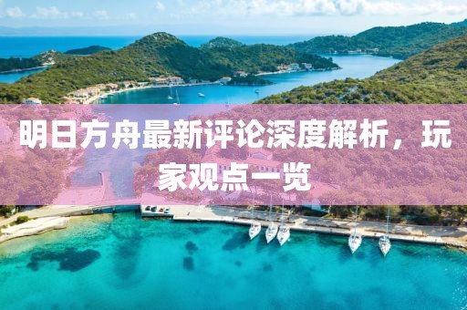 明日方舟最新评论深度解析，玩家观点一览