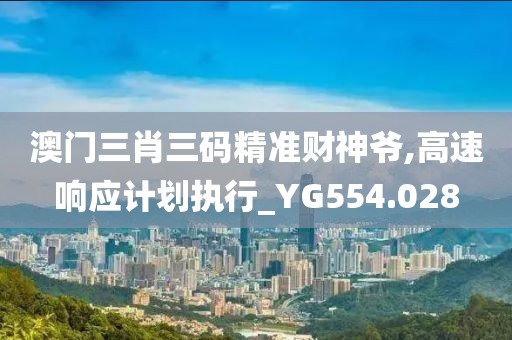 澳门三肖三码精准财神爷,高速响应计划执行_YG554.028