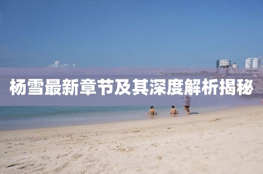 戏年月 第6页