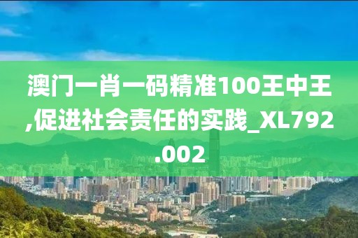 澳门一肖一码精准100王中王,促进社会责任的实践_XL792.002