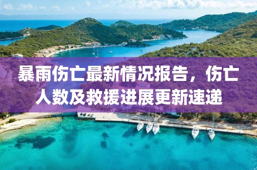 暴雨伤亡最新情况报告，伤亡人数及救援进展更新速递