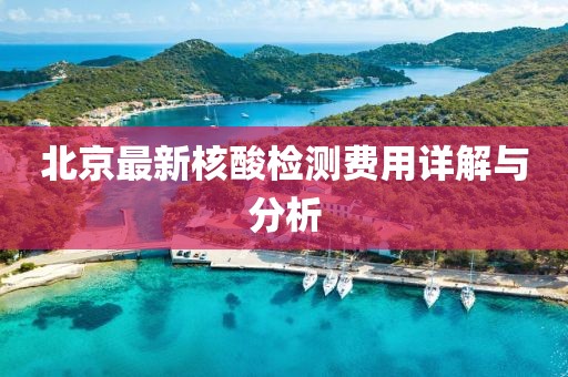 北京最新核酸检测费用详解与分析