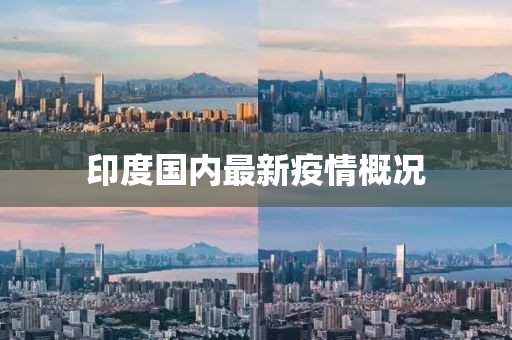 印度国内最新疫情概况