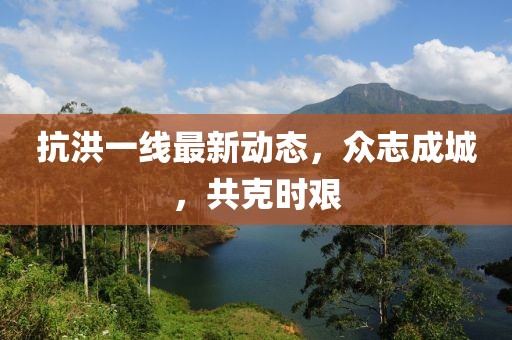 抗洪一线最新动态，众志成城，共克时艰