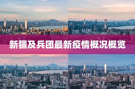 新疆及兵团最新疫情概况概览