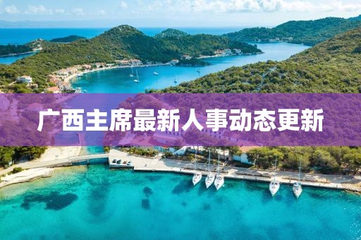 广西主席最新人事动态更新