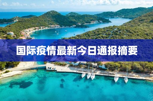 国际疫情最新今日通报摘要