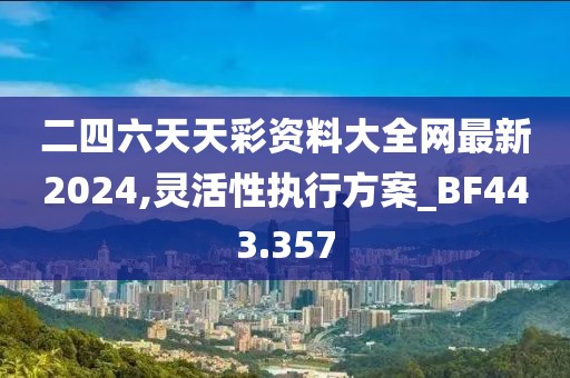 二四六天天彩资料大全网最新2024,灵活性执行方案_BF443.357