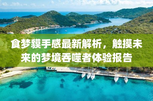 食梦貘手感最新解析，触摸未来的梦境吞噬者体验报告