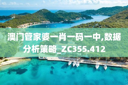 澳门管家婆一肖一码一中,数据分析策略_ZC355.412