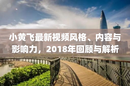 小黄飞最新视频风格、内容与影响力，2018年回顾与解析