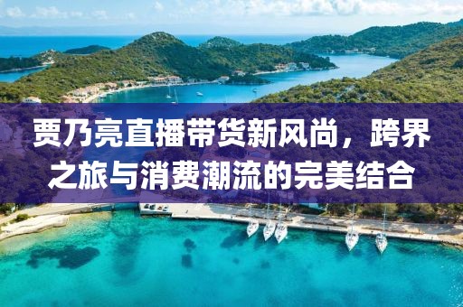 贾乃亮直播带货新风尚，跨界之旅与消费潮流的完美结合