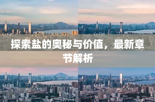 探索盐的奥秘与价值，最新章节解析