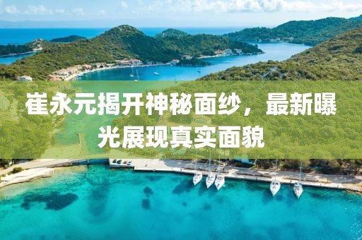崔永元揭开神秘面纱，最新曝光展现真实面貌