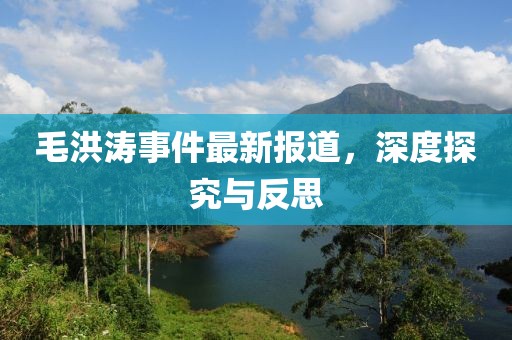 毛洪涛事件最新报道，深度探究与反思