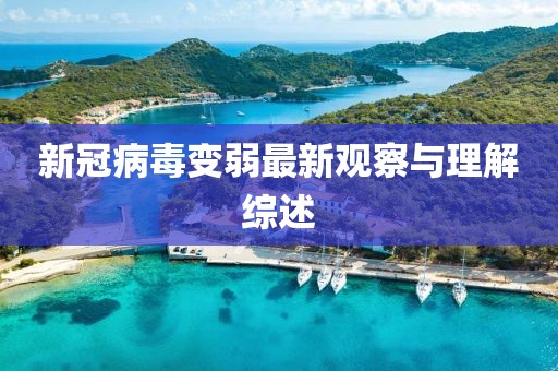 新冠病毒变弱最新观察与理解综述