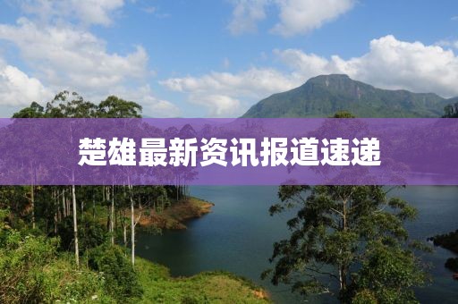 楚雄最新资讯报道速递