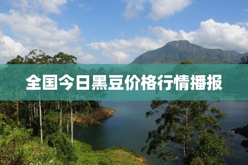 全国今日黑豆价格行情播报