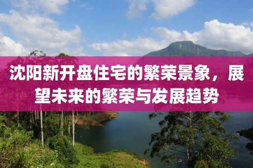 沈阳新开盘住宅的繁荣景象，展望未来的繁荣与发展趋势