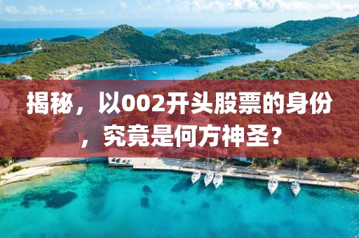 揭秘，以002开头股票的身份，究竟是何方神圣？