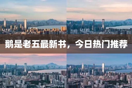 鹅是老五最新书，今日热门推荐