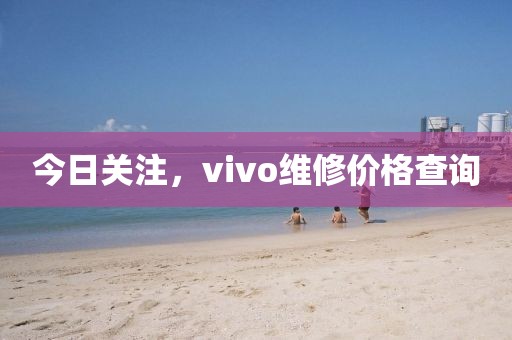 今日关注，vivo维修价格查询