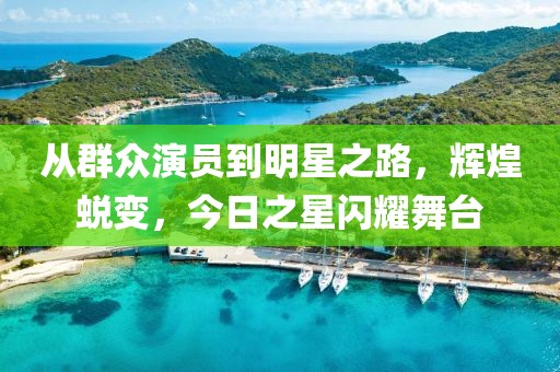 从群众演员到明星之路，辉煌蜕变，今日之星闪耀舞台