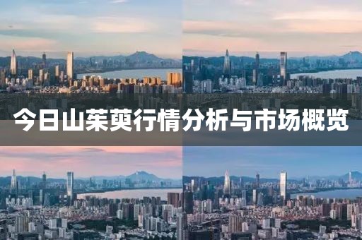 雪吖头 第3页