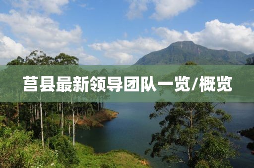 莒县最新领导团队一览/概览