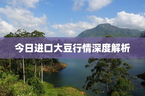 今日进口大豆行情深度解析