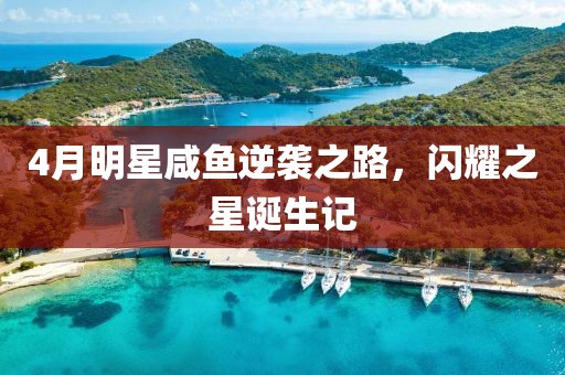 2025年4月23日 第4页
