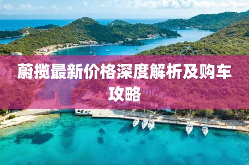 蔚揽最新价格深度解析及购车攻略