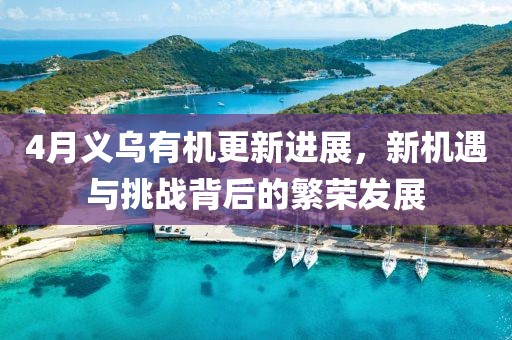 4月义乌有机更新进展，新机遇与挑战背后的繁荣发展