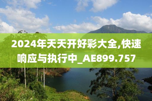 2024年天天开好彩大全,快速响应与执行中_AE899.757