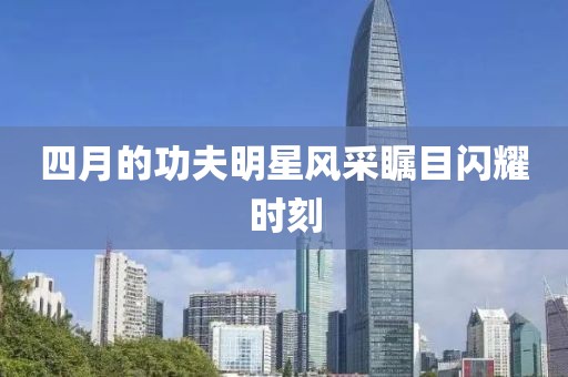 四月的功夫明星风采瞩目闪耀时刻
