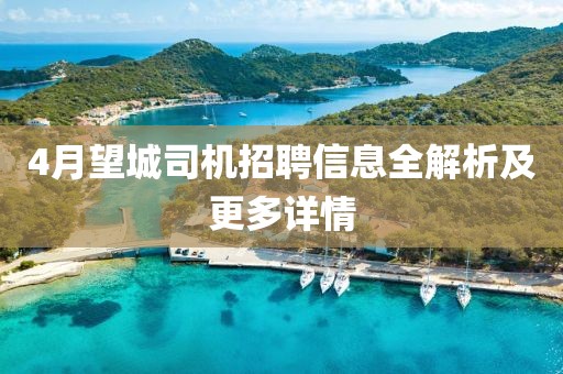 4月望城司机招聘信息全解析及更多详情