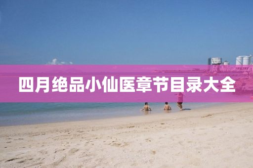 四月绝品小仙医章节目录大全