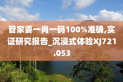 管家婆一肖一码100%准确,实证研究报告_沉浸式体验XJ721.053