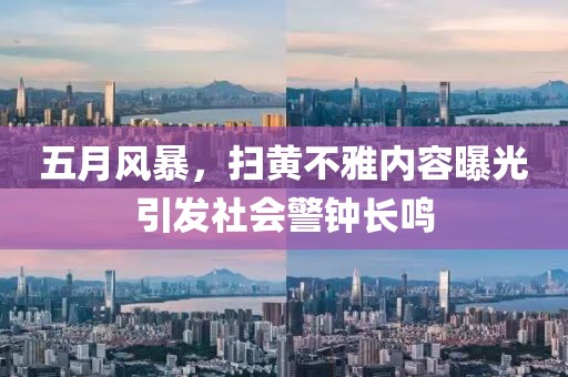 五月风暴，扫黄不雅内容曝光引发社会警钟长鸣