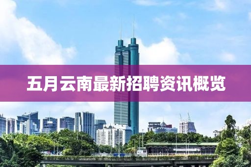 五月云南最新招聘资讯概览